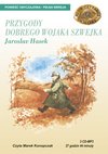 Okładka Przygody dobrego wojaka Szwejka